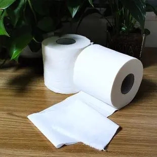 卷纸厂家说说水溶性纸巾与不溶性纸巾的比较